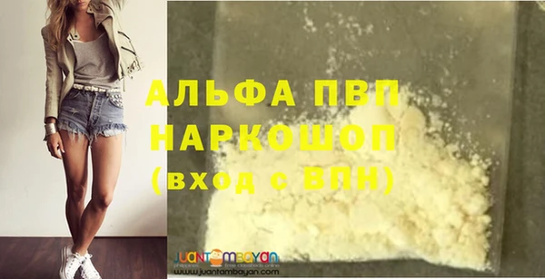 шишки Новокубанск