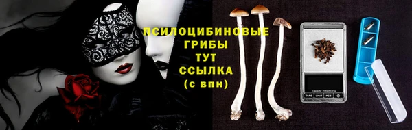 шишки Новокубанск