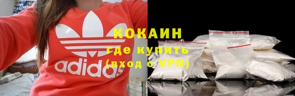 шишки Новокубанск