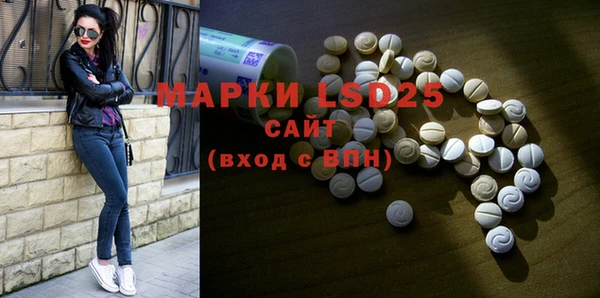 шишки Новокубанск