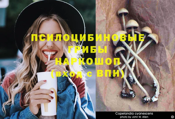 шишки Новокубанск