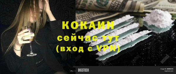 шишки Новокубанск