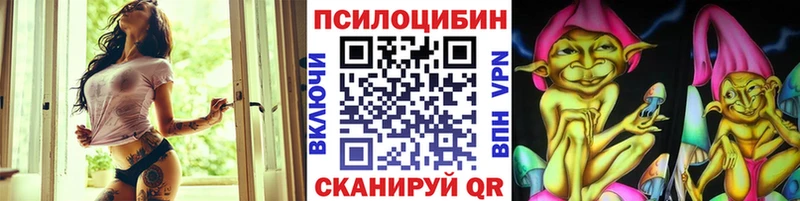 ОМГ ОМГ tor  Алейск  Галлюциногенные грибы ЛСД  купить закладку 