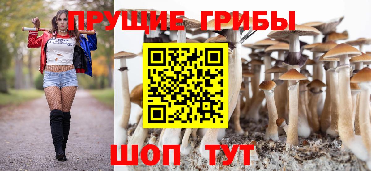 Псилоцибиновые грибы мицелий  Вход с VPN  Алейск 