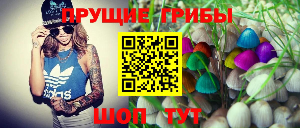 Псилоцибиновые грибы мухоморы Алейск