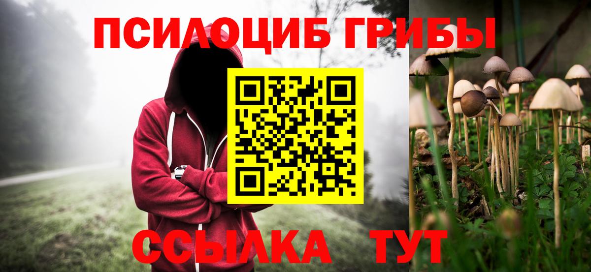 Псилоцибиновые грибы Psilocybine cubensis  Алейск  Псилоцибиновые грибы MAGIC MUSHROOMS 